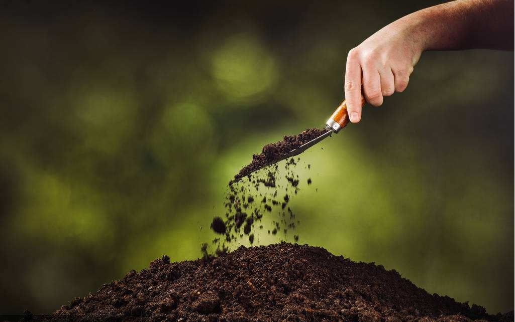 土壤重金属检测